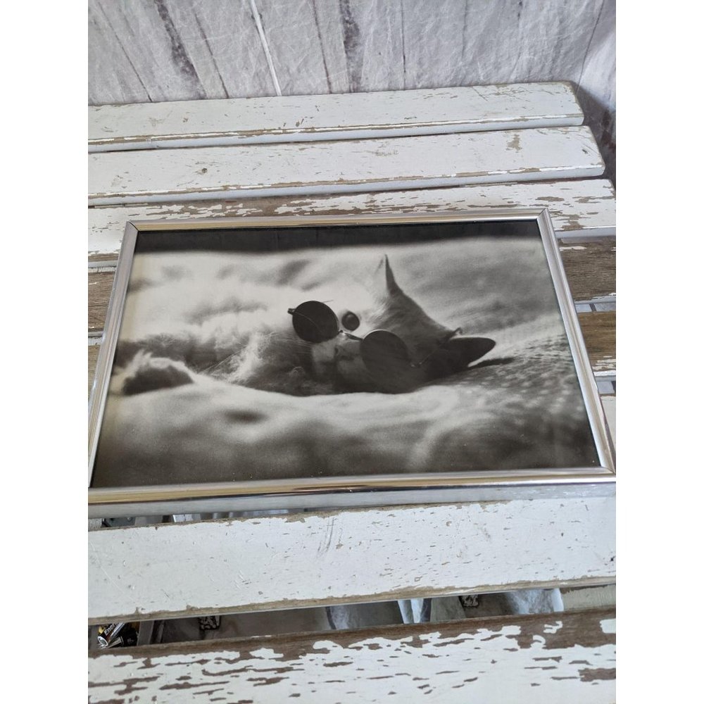 Kitten cat‎ painting picture frame sunglasses wall